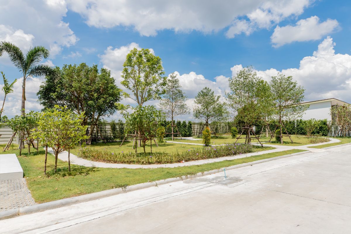 Plaukdaeng_02